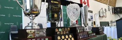 Several civic award trophies on a table during the presentation ceremony