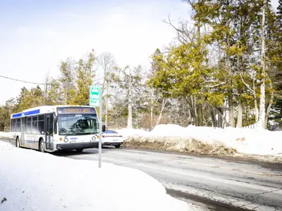 A Transit bus approaches as bus stop on a snowy street