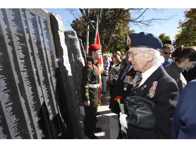 Veteran looking at the wall of honour