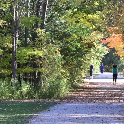 People walking along a path through an urban forest 