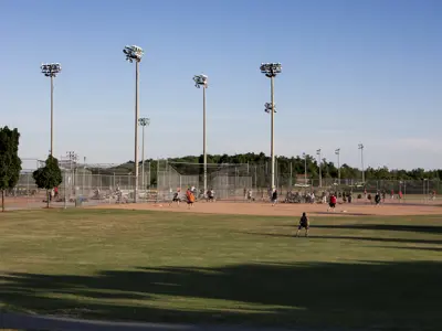 Bowers Park baseball diamonds on a sunny summer day