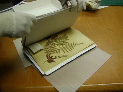 Archived documents with a person wearing white gloves flipping a page