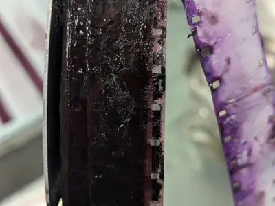 Water damaged film from the Roy Films Preservation Project 