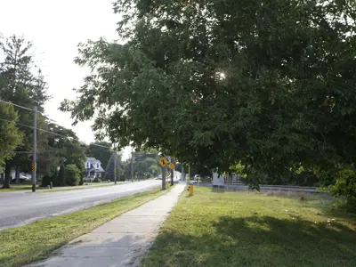 Residential street and sidewalk on a summer day