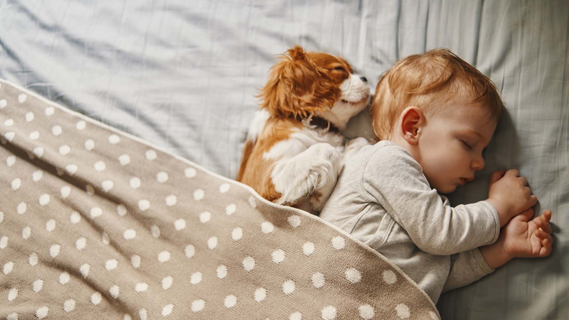 Child sleeping under blanket next to puppy