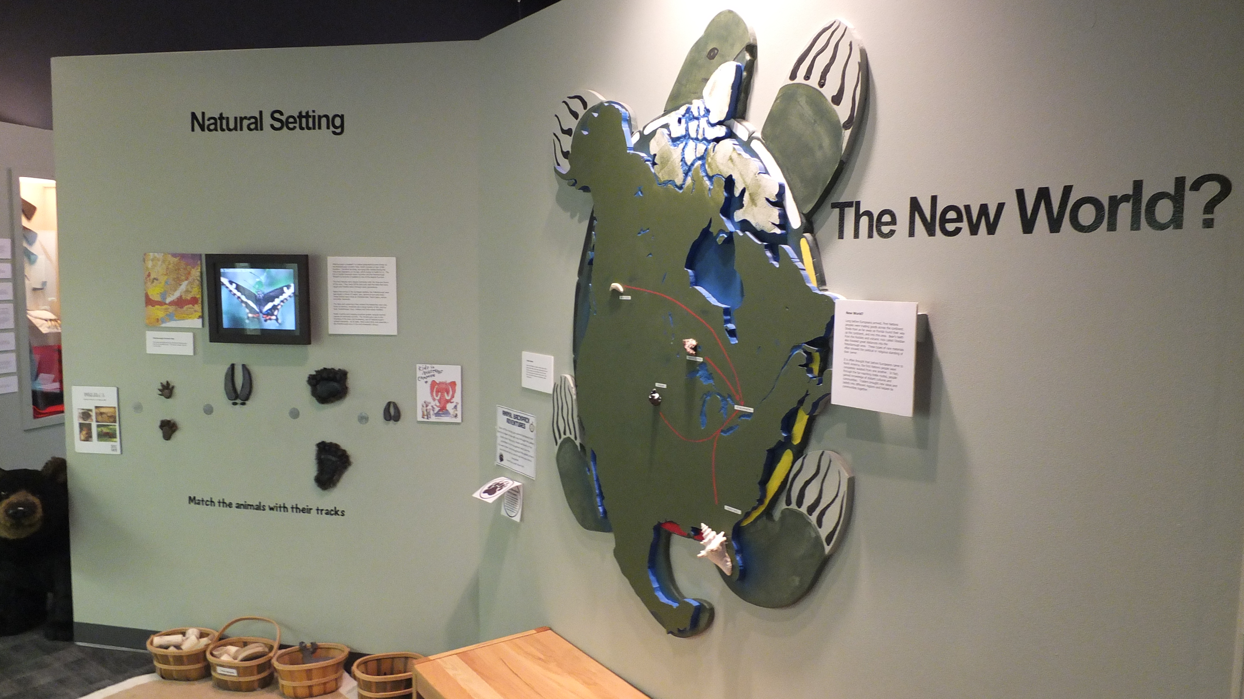 Museum exhibit with wall mounted Turtle Island feature and digital screen